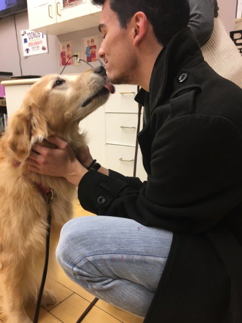 Every evening, staff at the Phoenix Youth Shelter coordinate programming for those staying with us. Last night Baxter came in for some belly rubs, lic