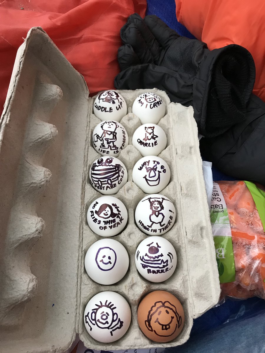 Last week @5D4H_Halifax spend the week outside to raise funds and support to fight youth homelessness. They support from the community was "egg-ceptio