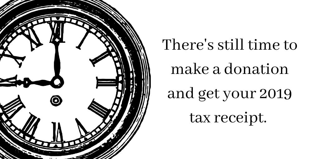 If you haven't made your end of year donation, you can still give online and get a tax receipt for #2019. https://t.co/LqSJe7TxwV #YouthMatter #GiveTo